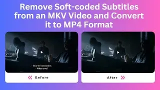 How to Remove Soft-coded Subtitles from an MKV Video and Convert it to MP4 Format