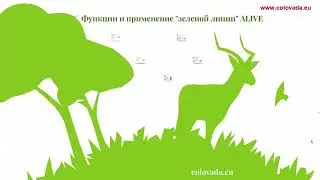 Alive - средства поуходу за домом