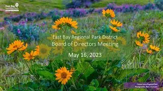 MAY 16- BOARD OF DIRECTORS MEETING