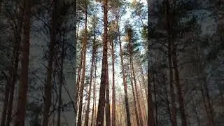 22 января 2022 г.