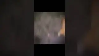 pika bubushy do Halloween ya postoyano s trevisom kak di