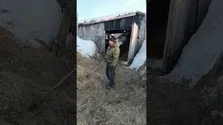 какой прогноз погоды?