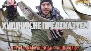 Хищник не предсказуем. Щука осенью.+Бонус (крутой анекдот про рыбалку)🐟