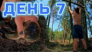 День 7 Зловив змію і засмажив і ще зробив вану кімнату.