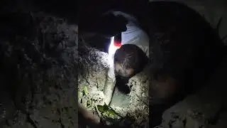দেখুন কি পরিমানে মাছ 😱😱