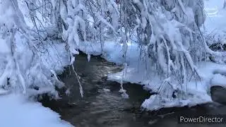 О любви поет саксофон/Музыка Андрея Обидина/Красивое для души