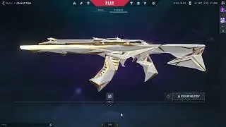 He Gifted Me SINGULARITY 2.0 SKINS ft.RADIXINN #valorant #valorantclips