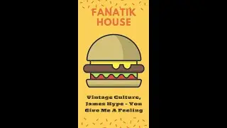 Vintage Culture, James Hype   You Give Me A Feeling FANATIK HOUSE