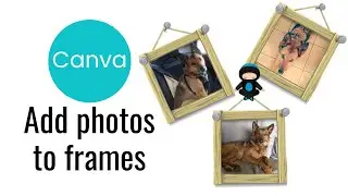How To Add Photos To Frames In Canva