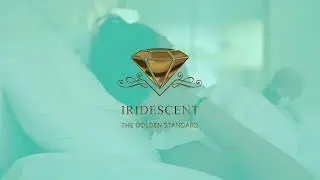 The Golden Standard | Iridescent Cosmetics