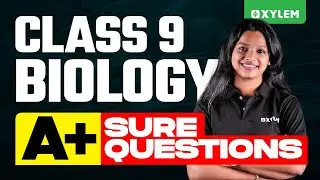 Class 9 Biology | A+ Sure Questions | Xylem Class 9