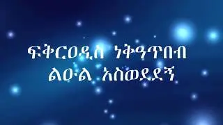 Fikeraddis Nekatibeb Leul Aswededgne ፍቅርአዲስ ነቃጥበብ ልዑል አስወደደኝ (Lyrics Video)