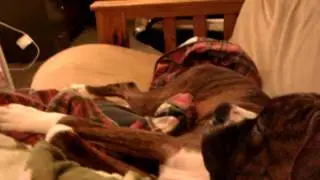 Addi watching Jets game