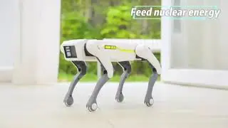 robo doggy rc