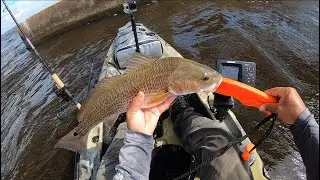Kayak Fishing 331 Bridge Choctawhatchee Bay | Redfish, Trout, and Black Drum