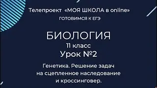 ЕГЭ. Биология. 