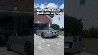 Loud c5 corvette with BTR Stage 2 cam