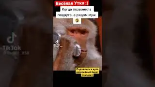Когда позвонила подруга а рядом муж :) | 