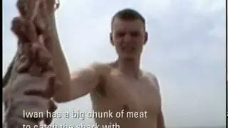 MTV - Kill a shark with your bare hands.