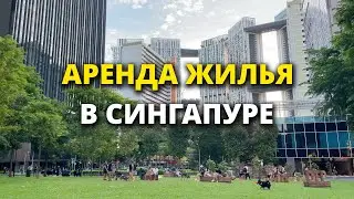 Cингапурские квартиры и как их арендовать: основные шаги, трудности и личный опыт