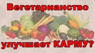 Вегетарианство улучшает КАРМУ?