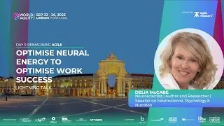 Delia McCabe - Optimise Neural Energy to Optimise Work Success