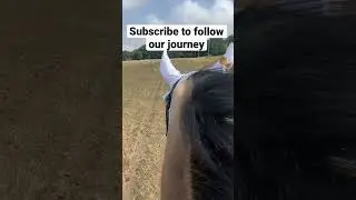 Hacking my horse in a sheep field 