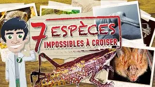 7 ESPÈCES QUE TU NE POURRAS JAMAIS CROISER - IMPOSSIBLE