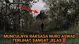 MUNCULNYA RAKSASA PENGUASA TANAH SUMATRA 