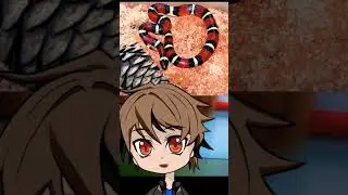 BROMA SERPIENTE