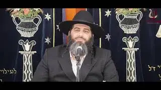 הרב רונן שאולוב -תורה