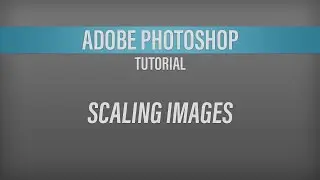 Adobe Photoshop – Scaling an Image