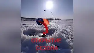 Щука на жерлицы! Столько я ещё не ловил!!!