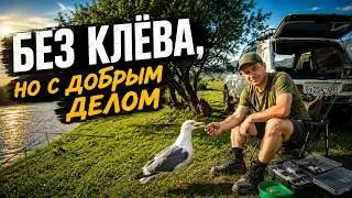Немного порыбачили. Спасли чайку от голодной смерти.