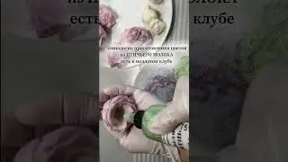 Цветы по рецепту ПТИЧЬЕ МОЛОКО. Рецепт. 