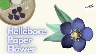 Paper Hellebore Tutorial | Paper Flower SVG DIY