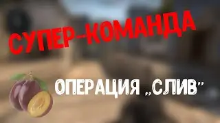 МЕГА-СЛИВЫ ОТ ПРОФЕССИОНАЛОВ