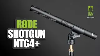 RODE NTG4+ microfono shotgun professionale Recensione Italiano