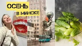 VLOG: осень на Осмоловке | ОСЕННИЕ СЕЗОНЫ | искусство и бл*дство (мой первый танец на пилоне)