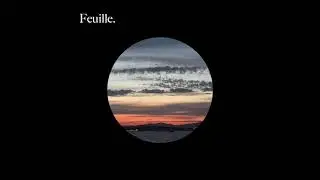 Feuille - Sangria (LOFI TRAP)