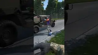Не пережил засады на дороге #dayz #dayztips #дейз