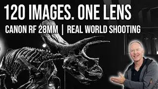 Canon RF 28mm Pancake — Real World Shooting Experience | One Day in Melbourne