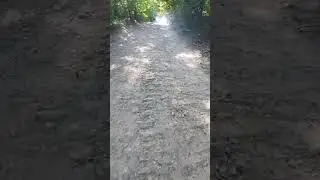 Старая немецкая дорога.