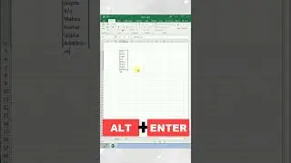 How To Enter Multiple Text Singal Cell in MS Excel