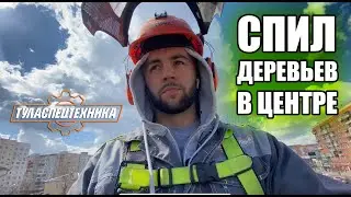 Как спилить дерево и вывезти?!