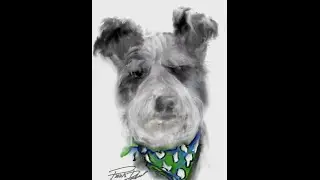Drawing a Beautiful Dog