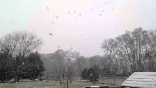 Snowing in Tennessee
