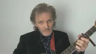 Crowded House  -  Pineapple Head