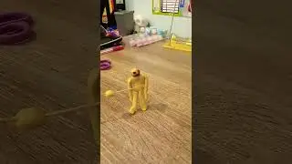 Єєє сюда смотри