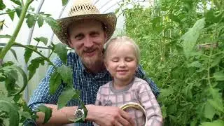 Про помидор и 1 июня